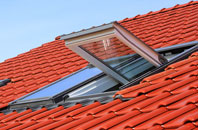 Panhall roof window