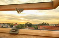 rated Panhall roof window companies